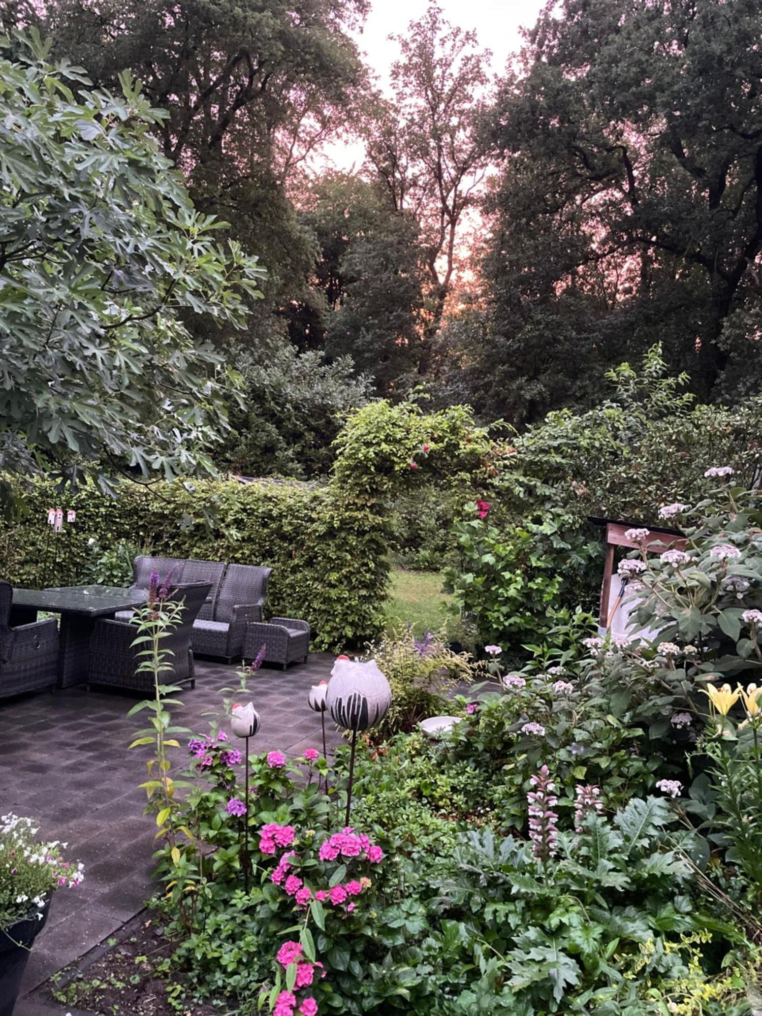 De Hooizolder Bed & Breakfast Hellendoorn Exterior photo